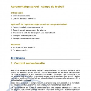 Aprenentatge servei i camps de treball